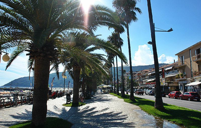 A street with palm trees in Andora