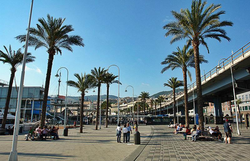 A street with palm trees in Genoa