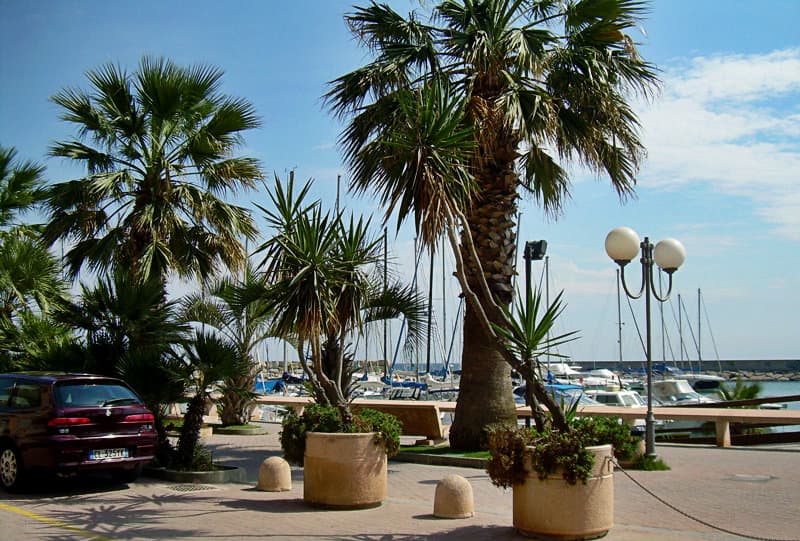 Palm trees next to a port in San Bartolomeo al Mare